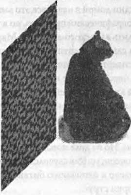 Иллюстрация к книге — Битва при черной дыре. Мое сражение со Стивеном Хокингом за мир, безопасный для квантовой механики [i_127.jpg]