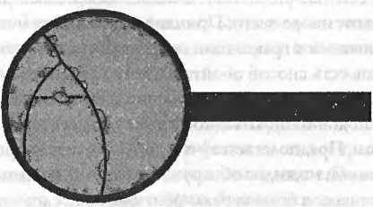 Иллюстрация к книге — Битва при черной дыре. Мое сражение со Стивеном Хокингом за мир, безопасный для квантовой механики [i_149.jpg]