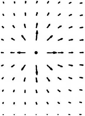 Иллюстрация к книге — Битва при черной дыре. Мое сражение со Стивеном Хокингом за мир, безопасный для квантовой механики [i_164.jpg]