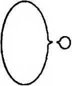 Иллюстрация к книге — Битва при черной дыре. Мое сражение со Стивеном Хокингом за мир, безопасный для квантовой механики [i_168.jpg]