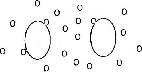 Иллюстрация к книге — Битва при черной дыре. Мое сражение со Стивеном Хокингом за мир, безопасный для квантовой механики [i_169.jpg]