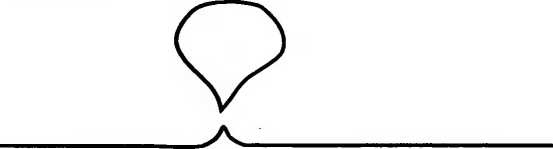 Иллюстрация к книге — Битва при черной дыре. Мое сражение со Стивеном Хокингом за мир, безопасный для квантовой механики [i_199.jpg]