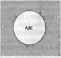 Иллюстрация к книге — Битва при черной дыре. Мое сражение со Стивеном Хокингом за мир, безопасный для квантовой механики [i_201.jpg]