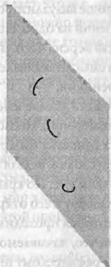 Иллюстрация к книге — Битва при черной дыре. Мое сражение со Стивеном Хокингом за мир, безопасный для квантовой механики [i_213.jpg]