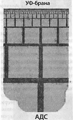 Иллюстрация к книге — Битва при черной дыре. Мое сражение со Стивеном Хокингом за мир, безопасный для квантовой механики [i_221.jpg]