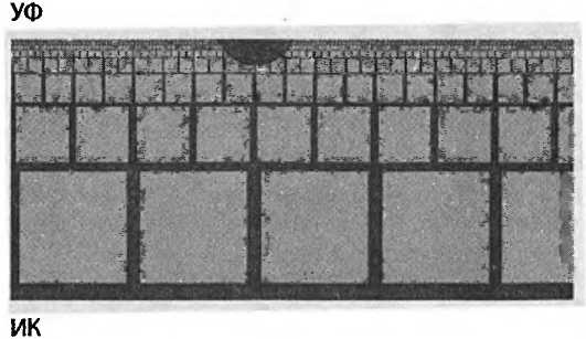 Иллюстрация к книге — Битва при черной дыре. Мое сражение со Стивеном Хокингом за мир, безопасный для квантовой механики [i_224.jpg]