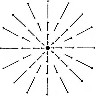 Иллюстрация к книге — Битва при черной дыре. Мое сражение со Стивеном Хокингом за мир, безопасный для квантовой механики [i_227.jpg]