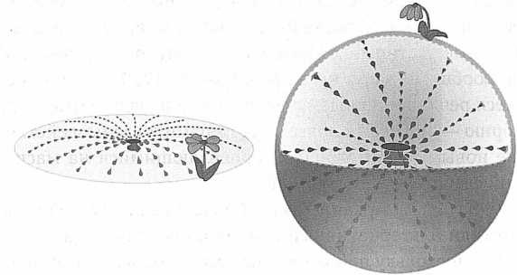 Иллюстрация к книге — Достучаться до небес. Научный взгляд на устройство Вселенной [img_65.jpg]