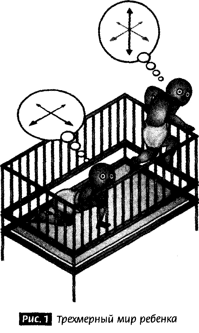 Иллюстрация к книге — Закрученные пассажи. Проникая в тайны скрытых размерностей пространства [image2.jpg]