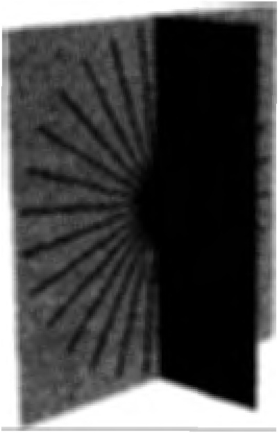 Иллюстрация к книге — Закрученные пассажи. Проникая в тайны скрытых размерностей пространства [image90.jpg]