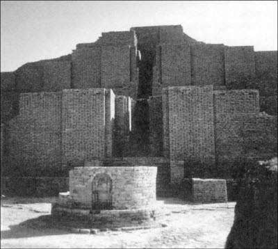 Иллюстрация к книге — Генезис цивилизации. Откуда мы произошли... [i_036.jpg]