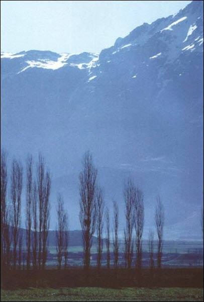 Иллюстрация к книге — Генезис цивилизации. Откуда мы произошли... [i_051.jpg]