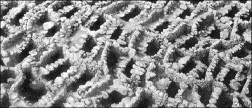 Иллюстрация к книге — Генезис цивилизации. Откуда мы произошли... [i_104.jpg]