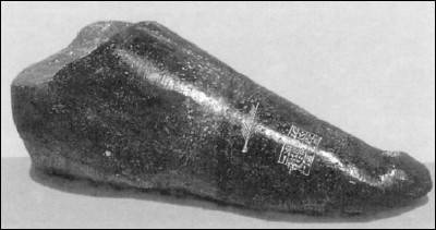 Иллюстрация к книге — Генезис цивилизации. Откуда мы произошли... [i_105.jpg]