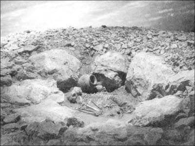 Иллюстрация к книге — Генезис цивилизации. Откуда мы произошли... [i_110.jpg]