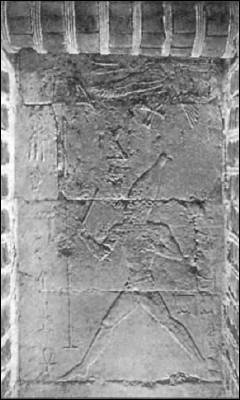 Иллюстрация к книге — Генезис цивилизации. Откуда мы произошли... [i_169.jpg]