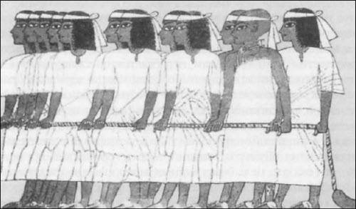 Иллюстрация к книге — Генезис цивилизации. Откуда мы произошли... [i_187.jpg]