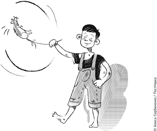 Иллюстрация к книге — Суперобъекты. Звезды размером с город [i_050.jpg]