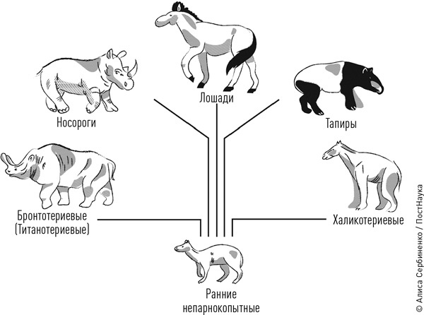 Иллюстрация к книге — Суперобъекты. Звезды размером с город [i_056.jpg]