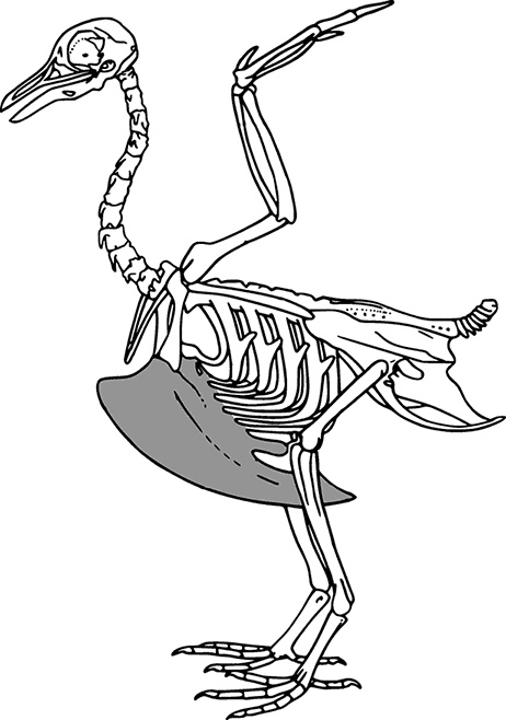 Иллюстрация к книге — Чердак. Только физика, только хардкор [i_017.jpg]