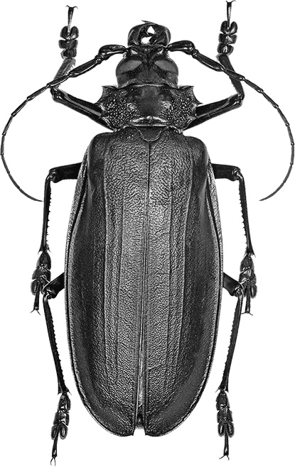 Иллюстрация к книге — Чердак. Только физика, только хардкор [i_021.jpg]