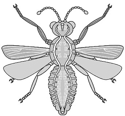 Иллюстрация к книге — Чердак. Только физика, только хардкор [i_022.jpg]