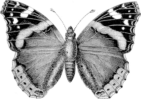 Иллюстрация к книге — Чердак. Только физика, только хардкор [i_027.jpg]