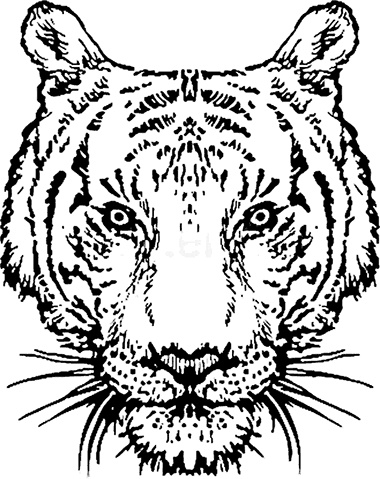 Иллюстрация к книге — Чердак. Только физика, только хардкор [i_028.jpg]