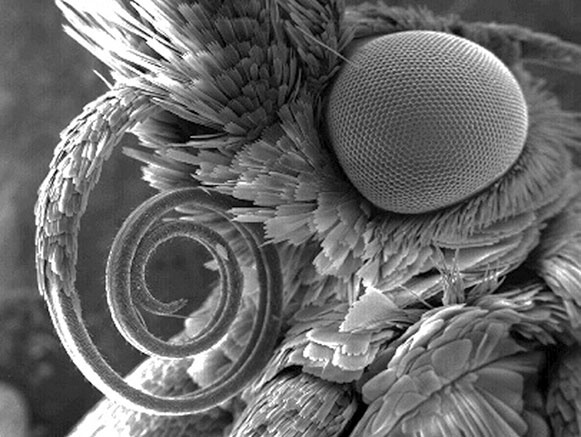 Иллюстрация к книге — Чердак. Только физика, только хардкор [i_086.jpg]