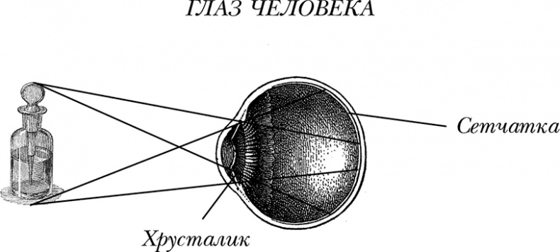 Иллюстрация к книге — Чердак. Только физика, только хардкор [i_108.jpg]