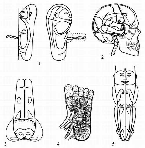 Иллюстрация к книге — Сам себе Су Джок доктор [_01.jpg]