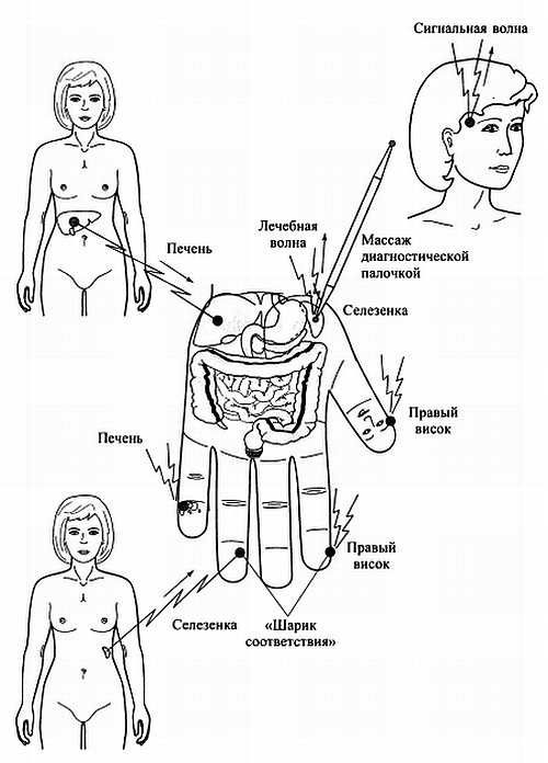 Иллюстрация к книге — Сам себе Су Джок доктор [_02.jpg]