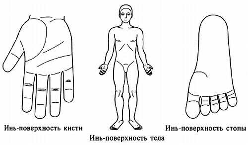 Иллюстрация к книге — Сам себе Су Джок доктор [_09.jpg]