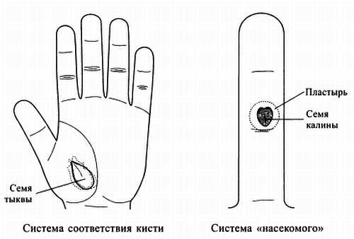 Иллюстрация к книге — Сам себе Су Джок доктор [_100.jpg]