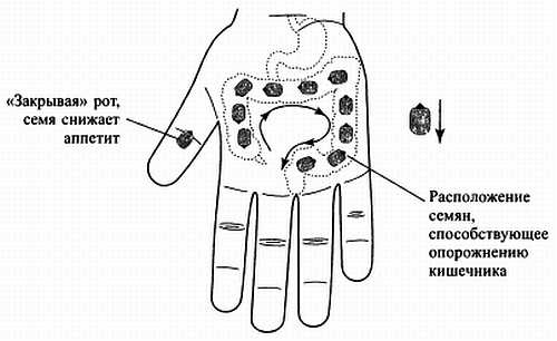Иллюстрация к книге — Сам себе Су Джок доктор [_120.jpg]