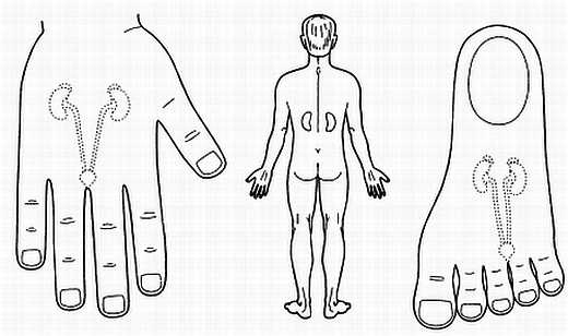 Иллюстрация к книге — Сам себе Су Джок доктор [_129.jpg]