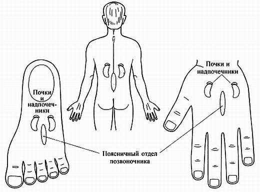 Иллюстрация к книге — Сам себе Су Джок доктор [_138.jpg]