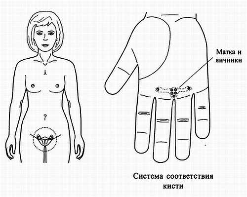 Иллюстрация к книге — Сам себе Су Джок доктор [_142.jpg]
