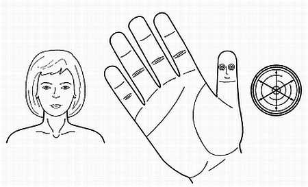 Иллюстрация к книге — Сам себе Су Джок доктор [_149.jpg]