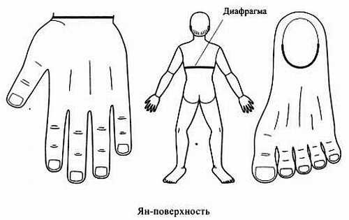Иллюстрация к книге — Сам себе Су Джок доктор [_16.jpg]