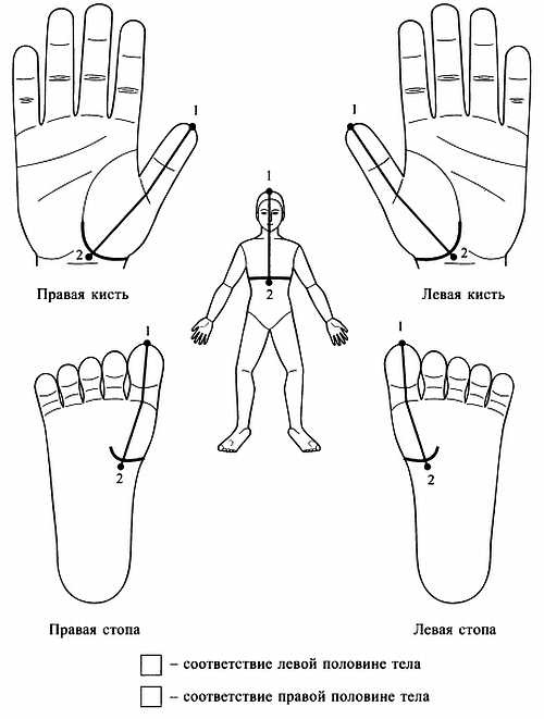 Иллюстрация к книге — Сам себе Су Джок доктор [_17.jpg]