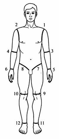 Иллюстрация к книге — Сам себе Су Джок доктор [_26.jpg]