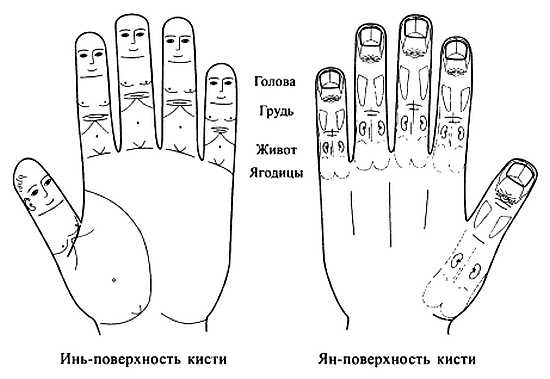 Иллюстрация к книге — Сам себе Су Джок доктор [_28.jpg]