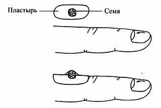 Иллюстрация к книге — Сам себе Су Джок доктор [_43.jpg]
