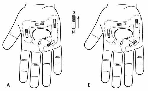 Иллюстрация к книге — Сам себе Су Джок доктор [_47.jpg]