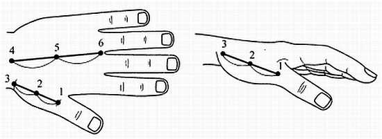 Иллюстрация к книге — Сам себе Су Джок доктор [_52.jpg]