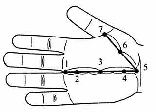 Иллюстрация к книге — Сам себе Су Джок доктор [_53.jpg]