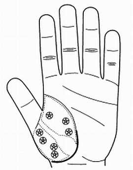 Иллюстрация к книге — Сам себе Су Джок доктор [_73.jpg]