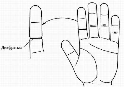 Иллюстрация к книге — Сам себе Су Джок доктор [_77.jpg]