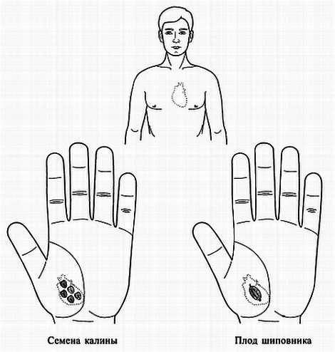 Иллюстрация к книге — Сам себе Су Джок доктор [_79.jpg]